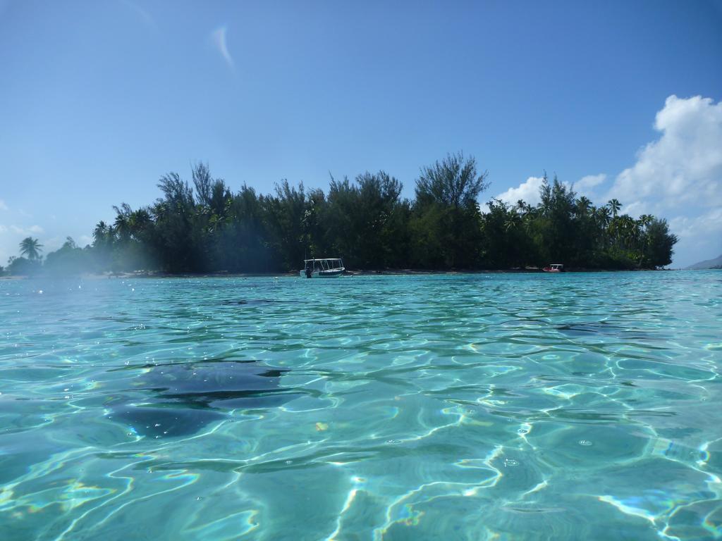 Fare Vaihere Moorea Exterior foto